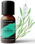 Aromatrip  Čajevec  - BIO eterično olje15 ml