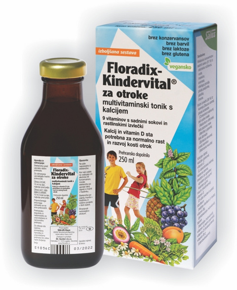 Floradix-Kindervital 250 ml