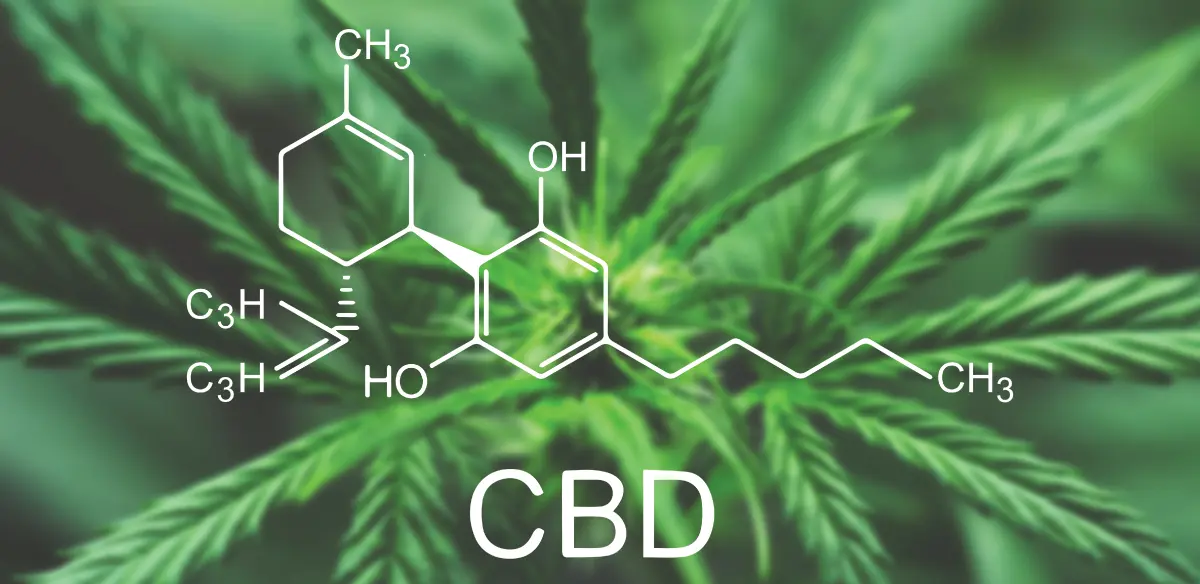 Kaj je CBD?