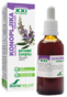 Konopljika kompleks XXI brezalkoholne kapljice 50 ml, Soria
