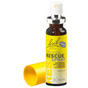 Bach rescue razpršilo brez alkohola 20 ml
