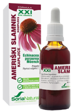 Ameriški slamnik kompleks XXI brezalkoholne kapljice 50 ml, Soria